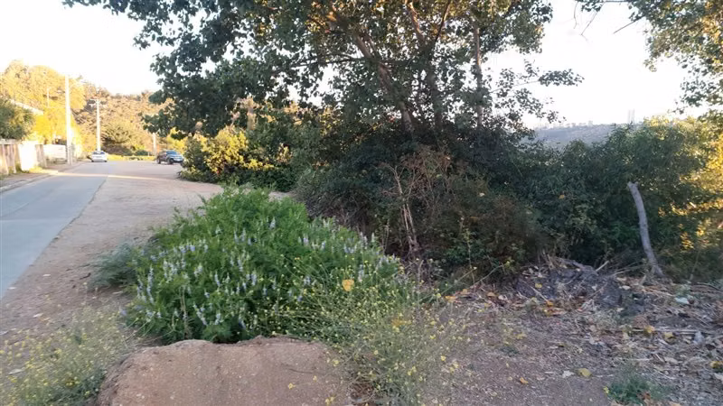 Sitio en Venta en Viña del Mar