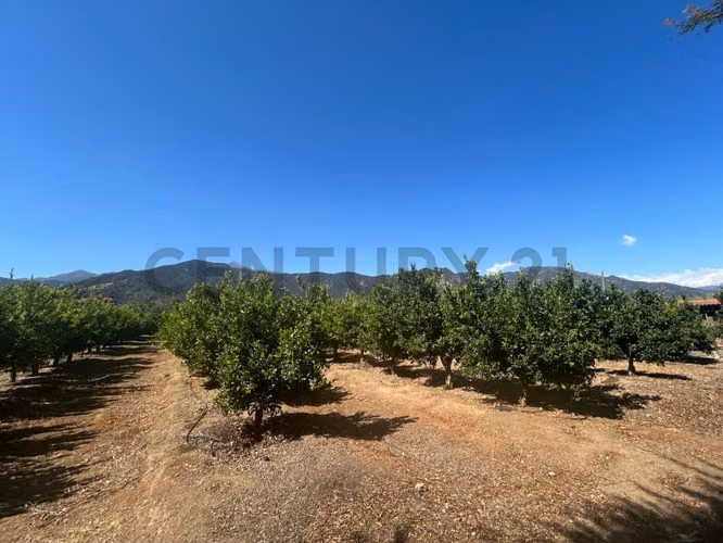 Se vende hermosa parcela en Olmué