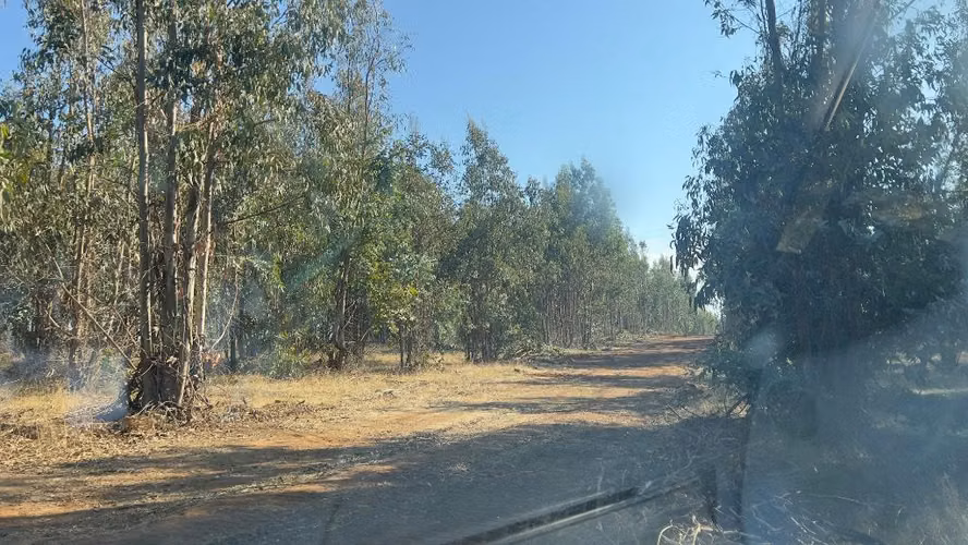Parcelas 10.000 m2 a 3 km de Portezuelo