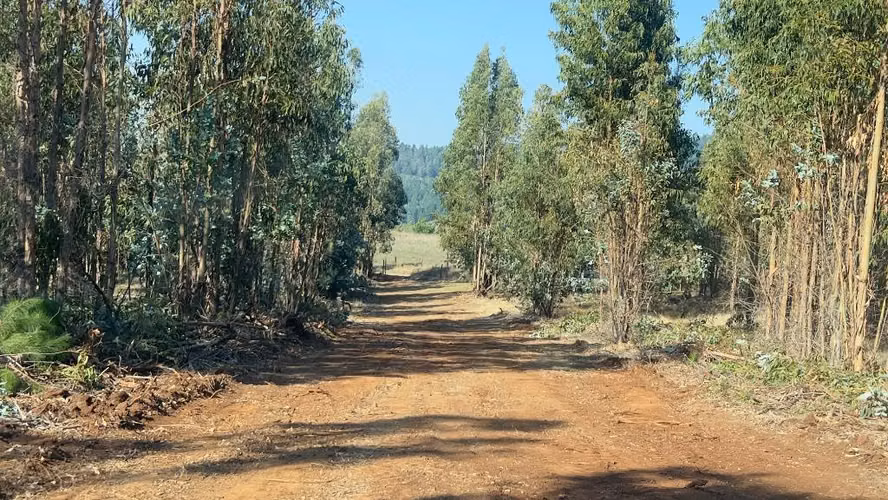Parcelas 10.000 m2 a 3 km de Portezuelo