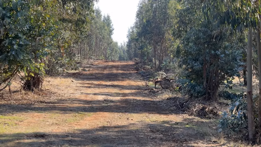 Parcelas 10.000 m2 a 3 km de Portezuelo