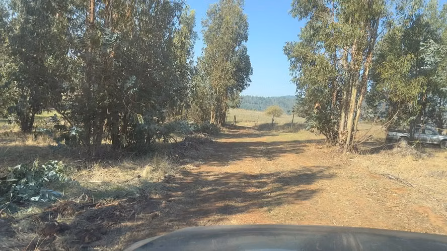 Parcelas 10.000 m2 a 3 km de Portezuelo