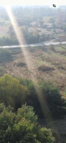 Parcela 10.000 m2 camino a cato - Imagen 5
