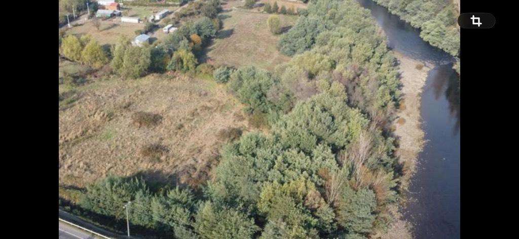 Parcela 10.000 m2 camino a cato - Imagen 3