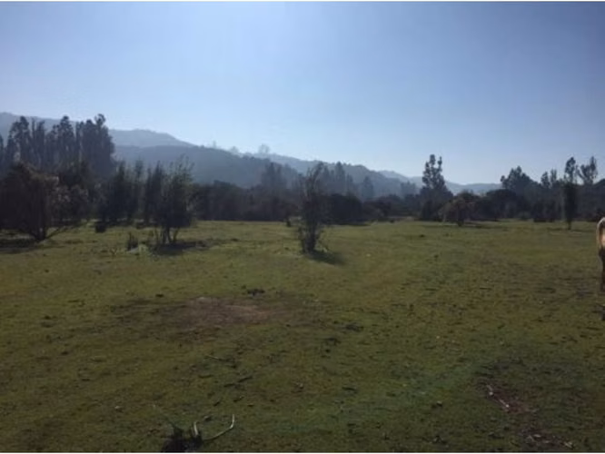 EXCELENTE!! Terreno de 252 Hectáreas En Camino Lo Orozco, Casablanca