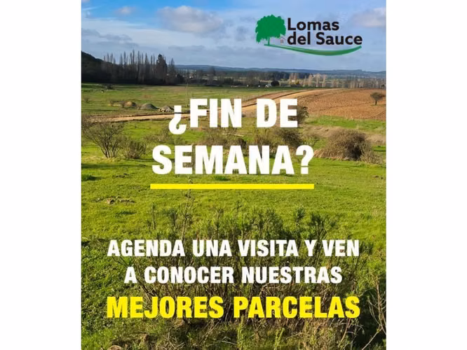 EXCELENTE!! Últimas Parcelas de 5.000 m2 con Rol Propio en "Lomas del Sauce", Litueche