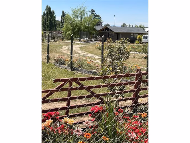 EXCELENTE!! Últimas Parcelas de 5.000 m2 con Rol Propio en "Lomas del Sauce", Litueche