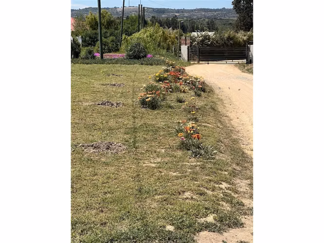EXCELENTE!! Últimas Parcelas de 5.000 m2 con Rol Propio en "Lomas del Sauce", Litueche