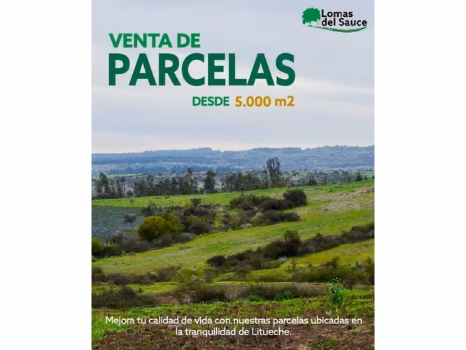 EXCELENTE!! Últimas Parcelas de 5.000 m2 con Rol Propio en "Lomas del Sauce", Litueche