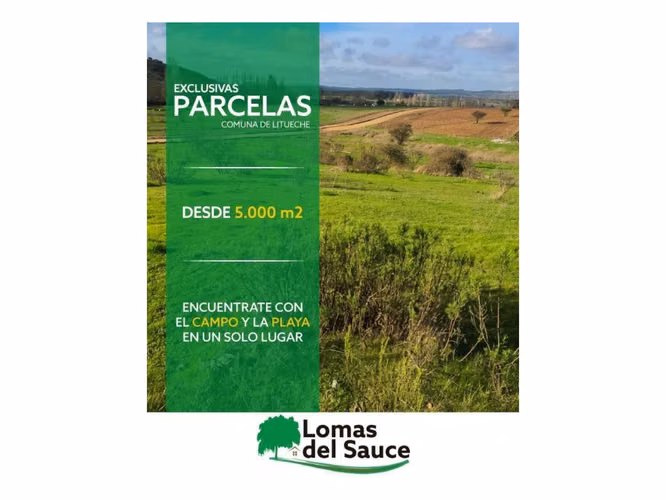 EXCELENTE!! Últimas Parcelas de 5.000 m2 con Rol Propio en "Lomas del Sauce", Litueche