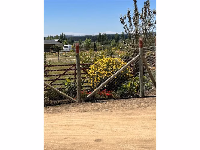 EXCELENTE!! Últimas Parcelas de 5.000 m2 con Rol Propio en "Lomas del Sauce", Litueche
