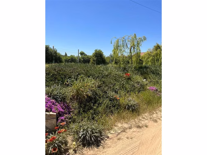 EXCELENTE!! Últimas Parcelas de 5.000 m2 con Rol Propio en "Lomas del Sauce", Litueche