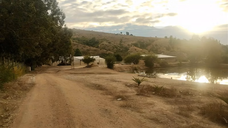 Parcela 2,39 ha, 2 casas, agua, naturaleza. Marchigue. Dueño