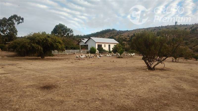 Parcela 2,39 ha, 2 casas, agua, naturaleza. Marchigue. Dueño