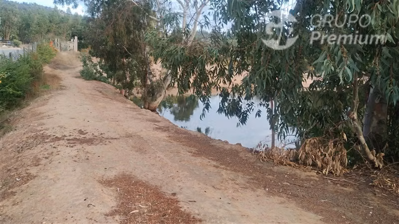 Parcela 2,39 ha, 2 casas, agua, naturaleza. Marchigue. Dueño