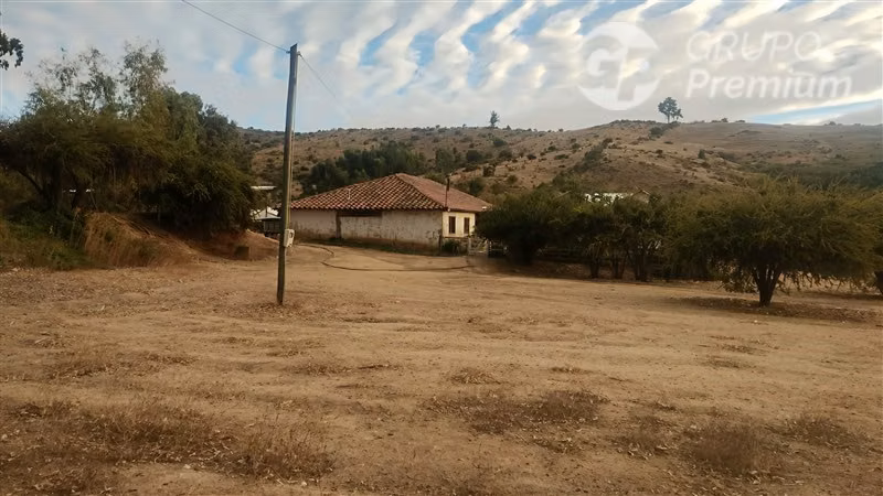 Parcela 2,39 ha, 2 casas, agua, naturaleza. Marchigue. Dueño