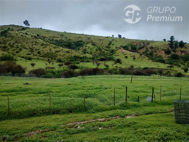 Parcela 2,39 ha, 2 casas, agua, naturaleza. Marchigue. Dueño