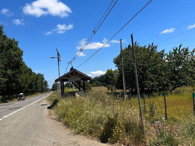 Parcela con casa en venta en Freire