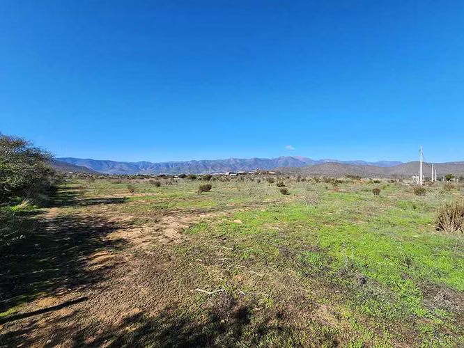 Entorno Natural y Tranquilidad Asegurada (159518)