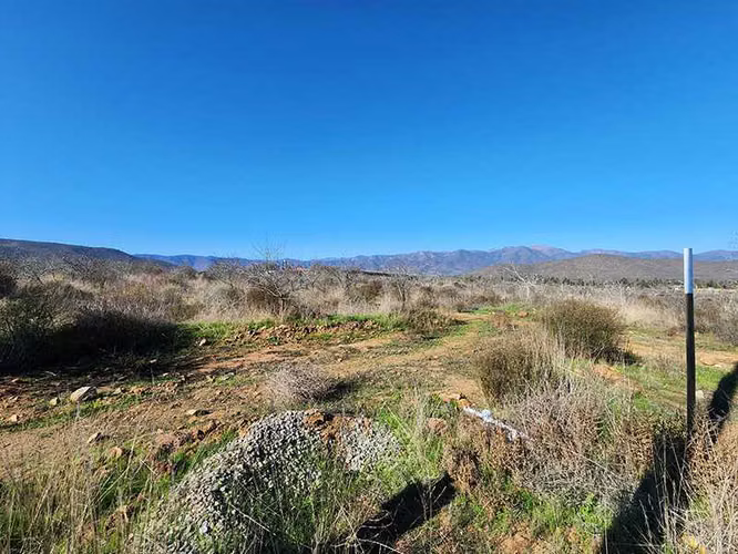 Entorno Natural y Tranquilidad Asegurada (159518)