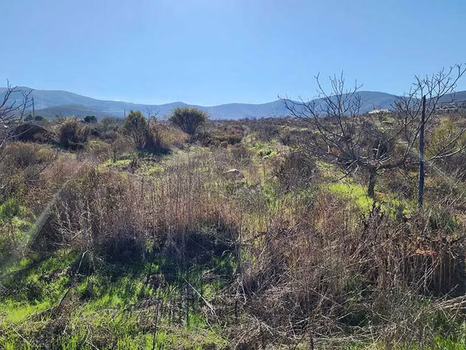 Entorno Natural y Tranquilidad Asegurada (159518)