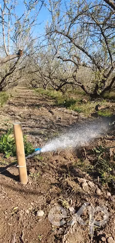 Parcelas en venta en Buin con agua potable, luz y riego