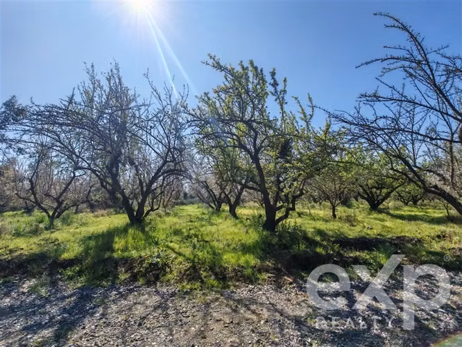 Parcelas en venta en Buin con agua potable, luz y riego