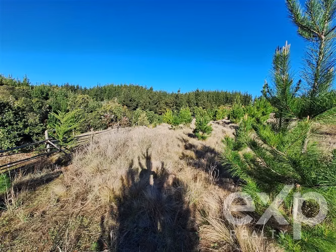 Vende Sitio 5104m2 en Pichilemu - Imagen 17