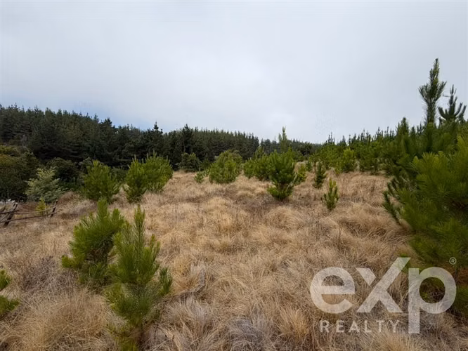 Vende Sitio 5104m2 en Pichilemu