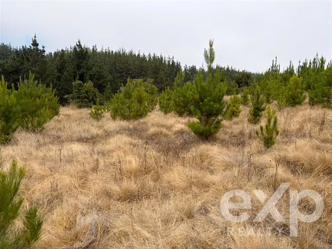 Vende Sitio 5104m2 en Pichilemu