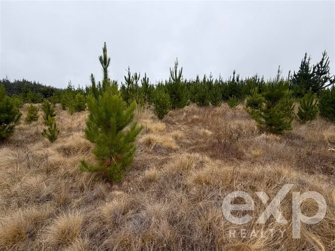 Vende Sitio 5104m2 en Pichilemu