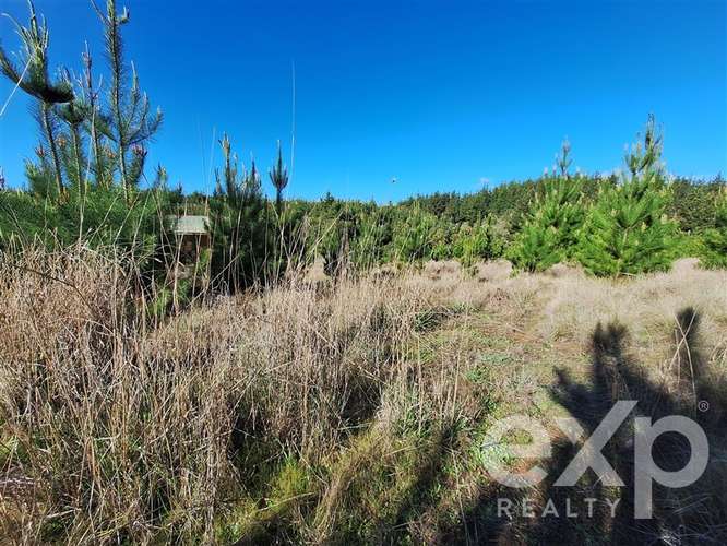 Vende Parcela 5104m2 en Pichilemu