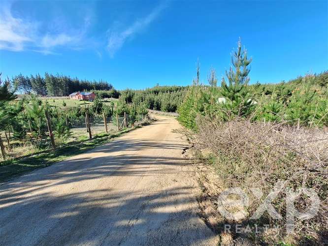 Vende Parcela 5104m2 en Pichilemu