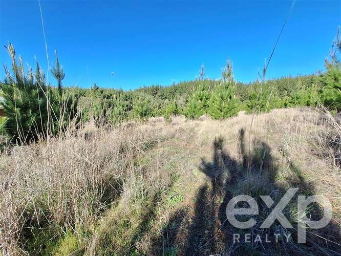 Vende Parcela 5104m2 en Pichilemu