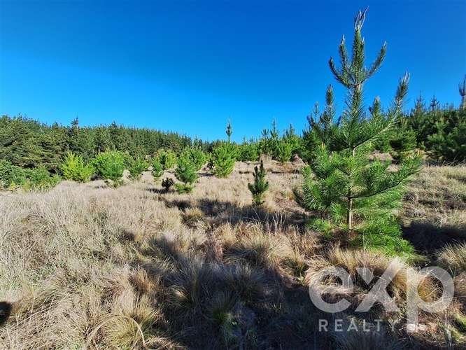 Vende Parcela 5104m2 en Pichilemu