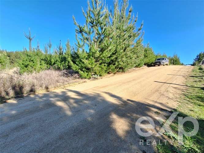 Vende Parcela 5104m2 en Pichilemu