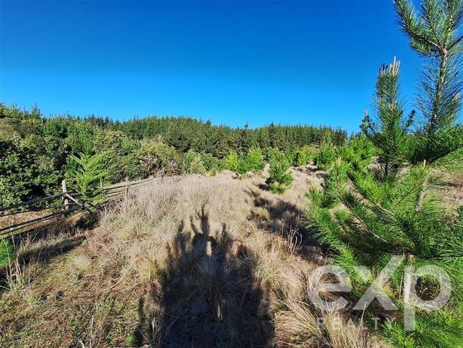 Vende Parcela 5104m2 en Pichilemu