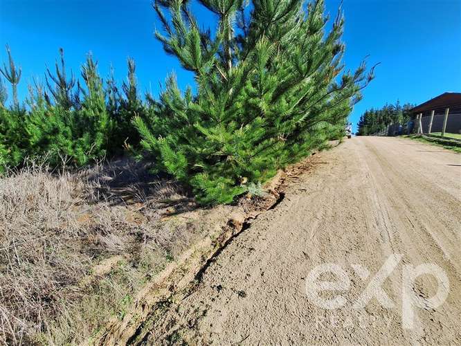 Vende Parcela 5104m2 en Pichilemu