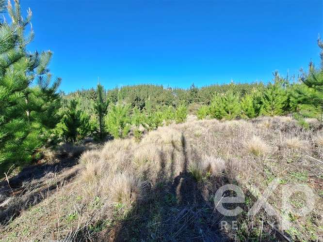 Vende Parcela 5104m2 en Pichilemu