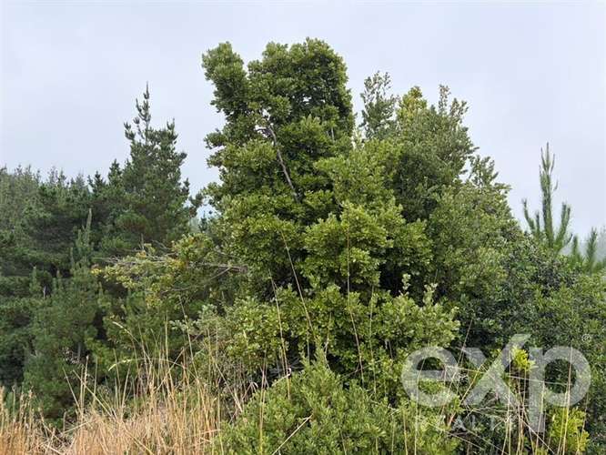Vende Parcela 5104m2 en Pichilemu