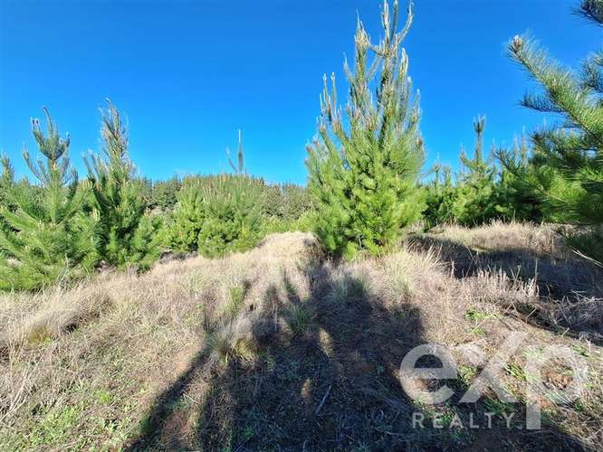 Vende Parcela 5104m2 en Pichilemu