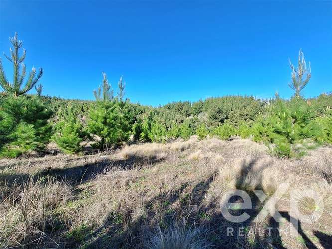 Vende Parcela 5104m2 en Pichilemu