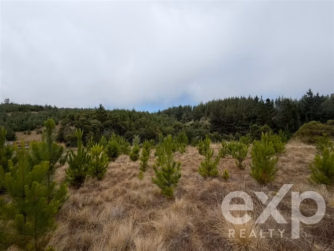 Vende Terreno 5104m2 en Pichilemu