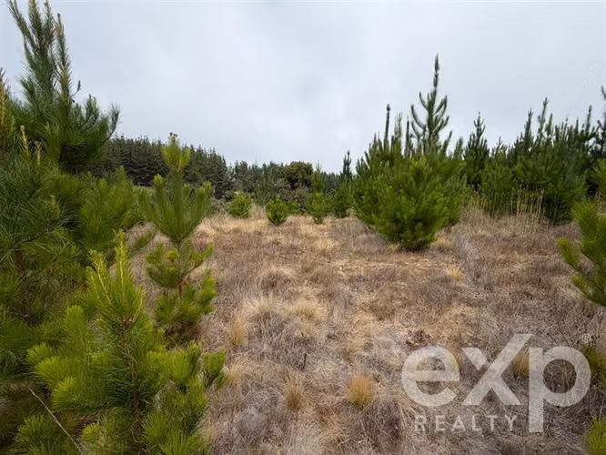 Vende Terreno 5104m2 en Pichilemu