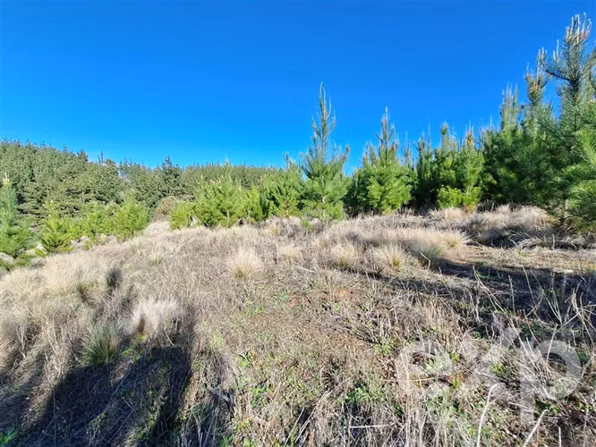 Vende Terreno 5104m2 en Pichilemu