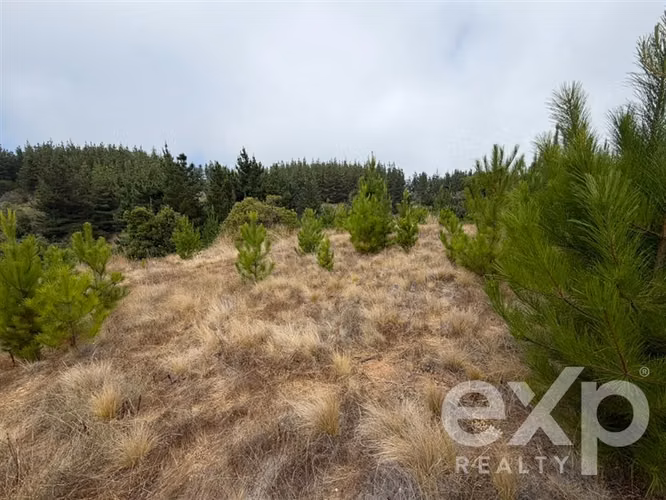 Vende Terreno 5104m2 en Pichilemu