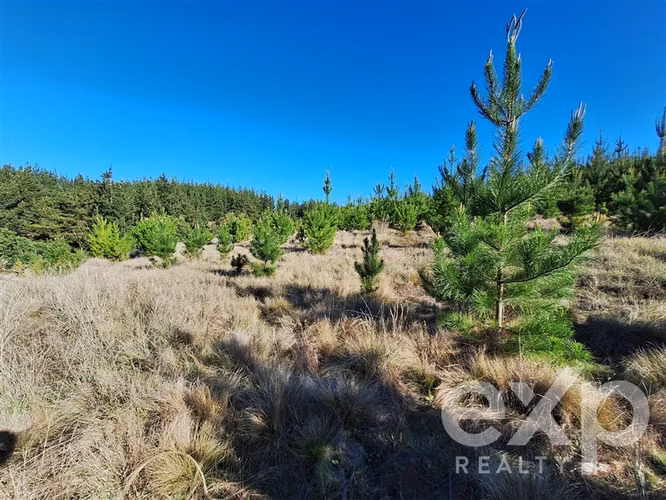 Vende Terreno 5104m2 en Pichilemu - Imagen 13