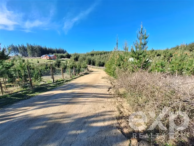 Vende Terreno 5104m2 en Pichilemu - Imagen 18