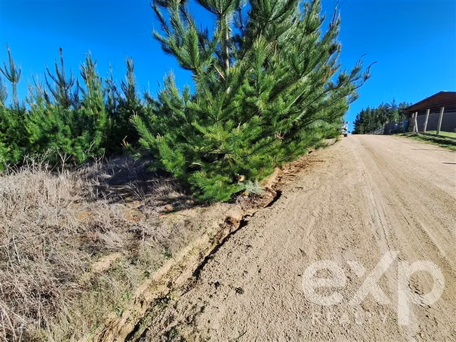 Vende Terreno 5104m2 en Pichilemu - Imagen 9