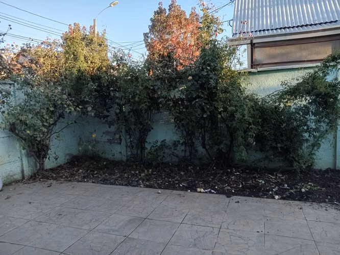 ARRIENDO BELLA CASA VILLA DOÑA ANTONIA, TALCA - Imagen 18